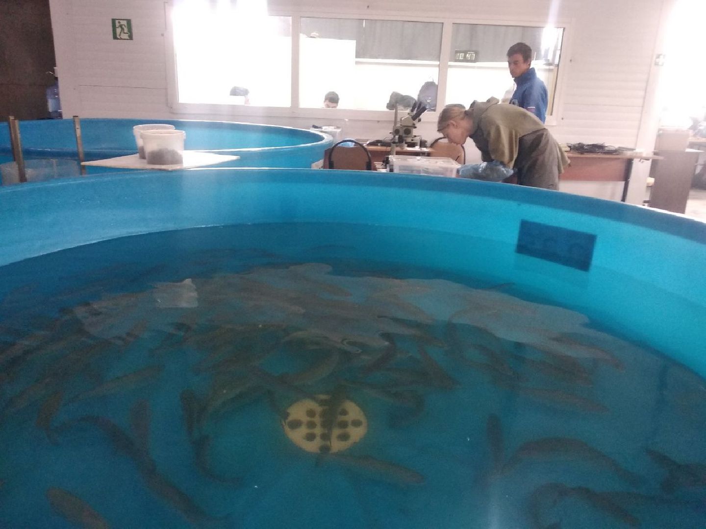 Дмитров, ДРТИ, ВНИИПРХ, ВНИРО