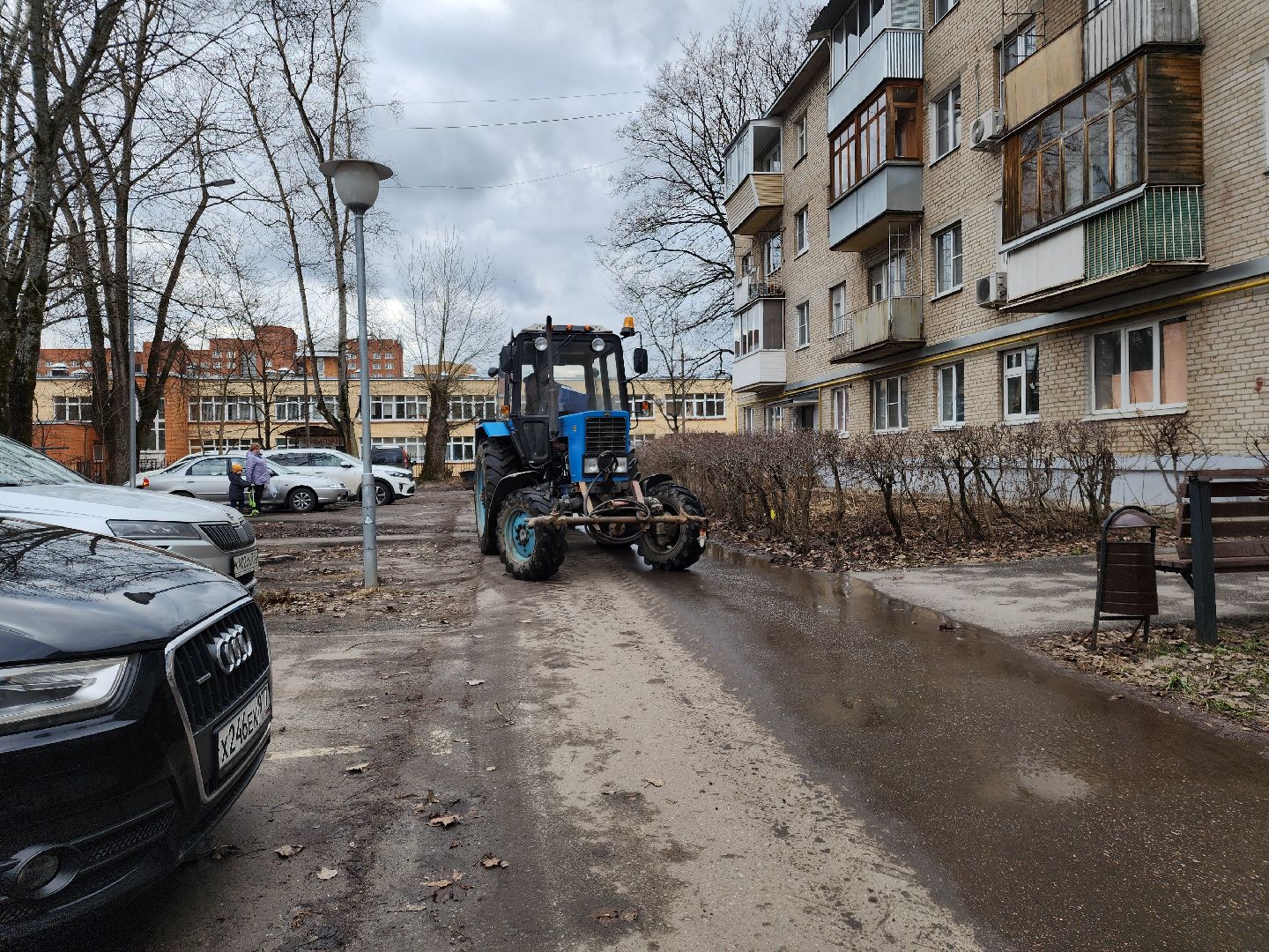 Черноголовка, Уборка листвы, Жкх,