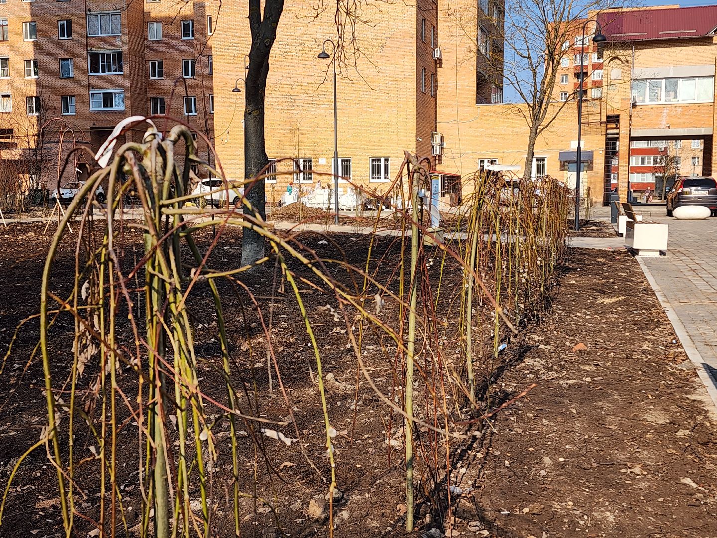 дубна, сквер журавлева, фонтан, благоуйстройство, дубна орбита,