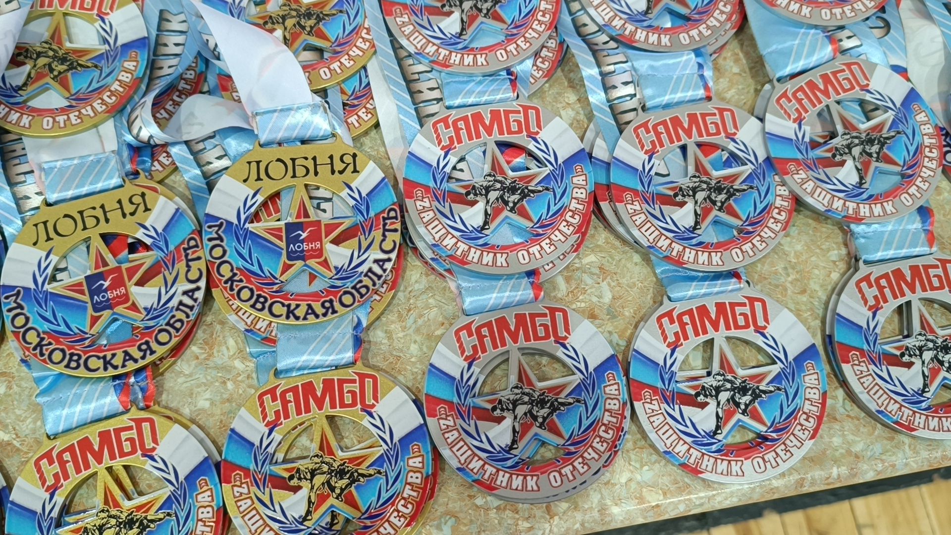 самбо, спорт, лобня,