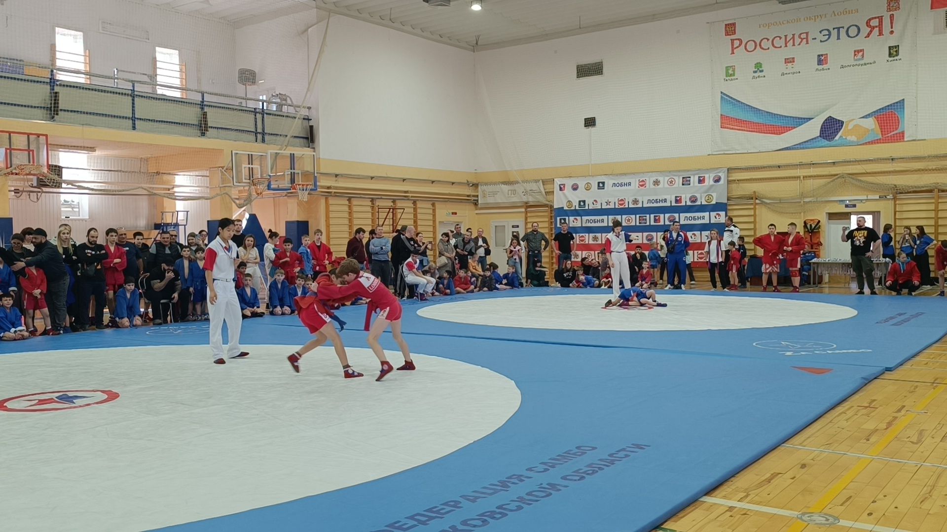 самбо, спорт, лобня,