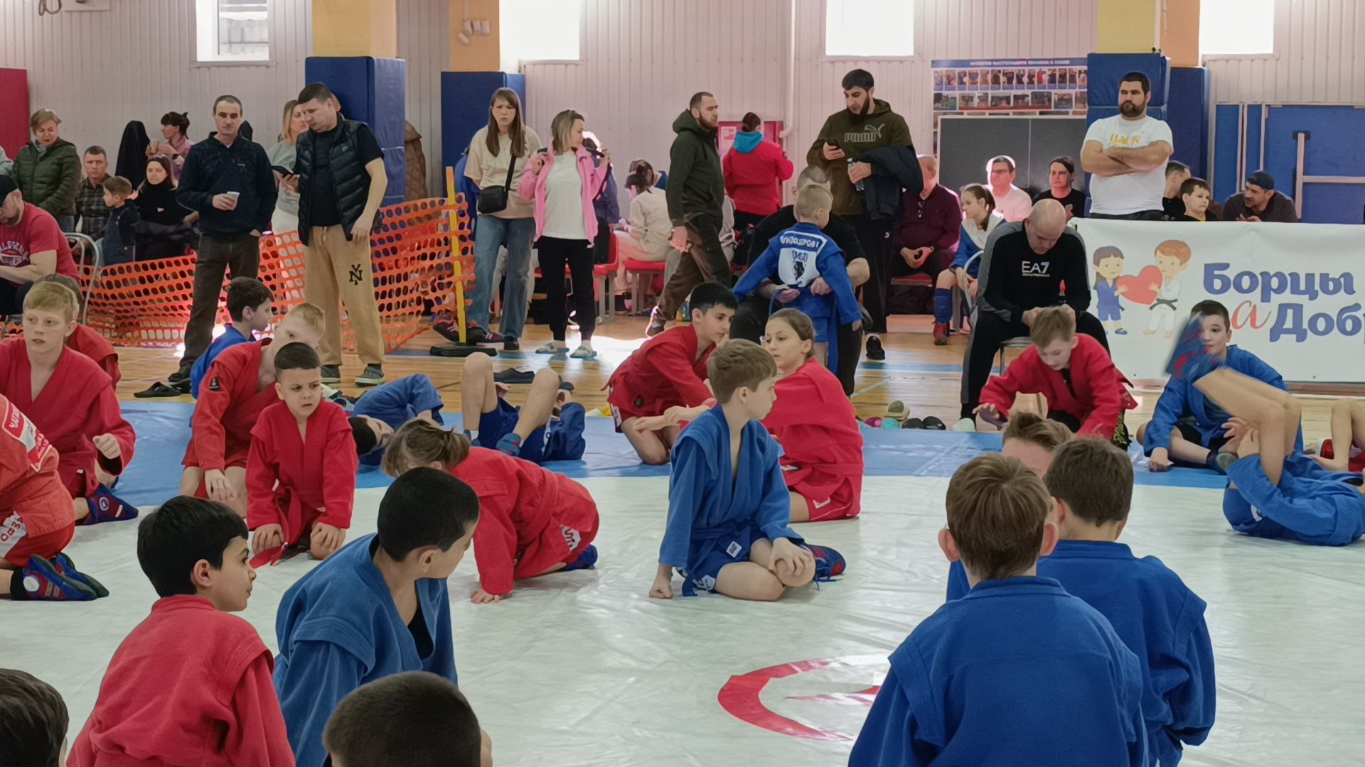 самбо, спорт, лобня,