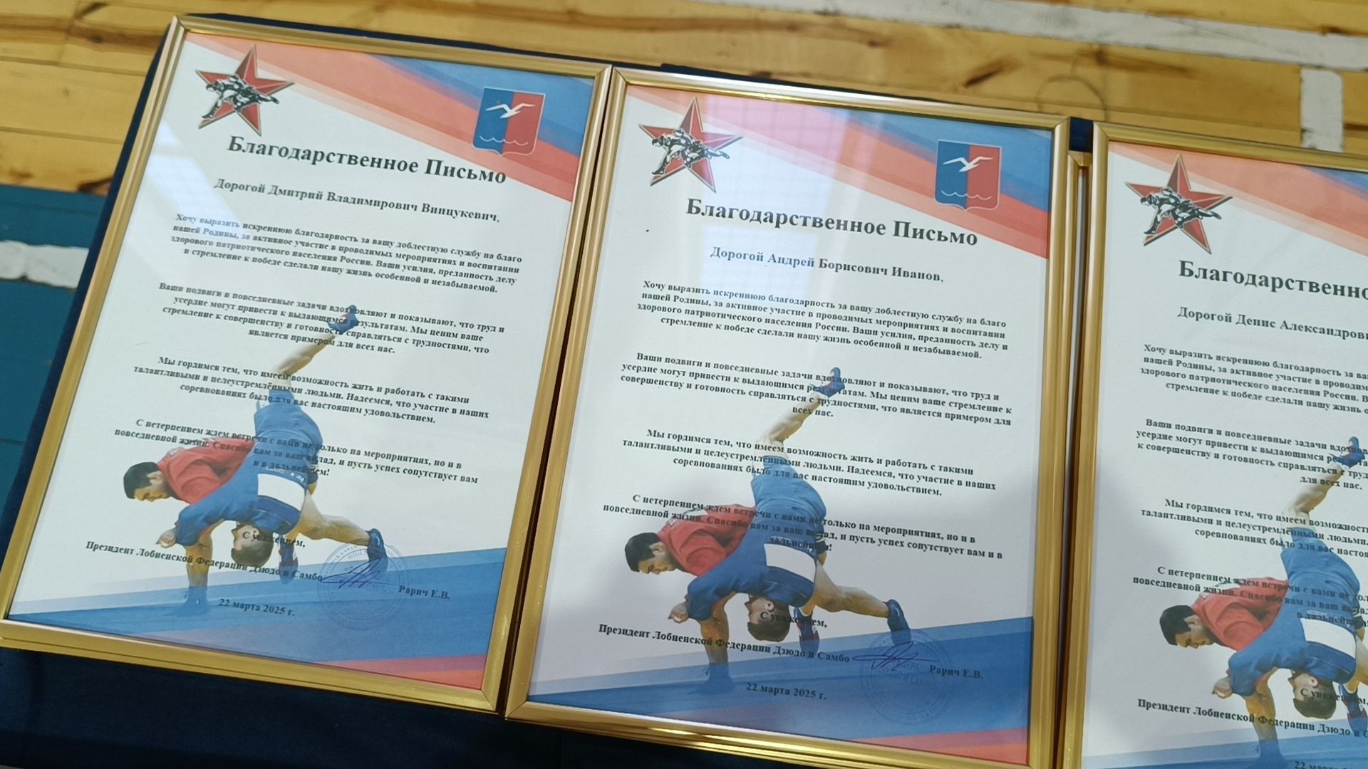 самбо, спорт, лобня,