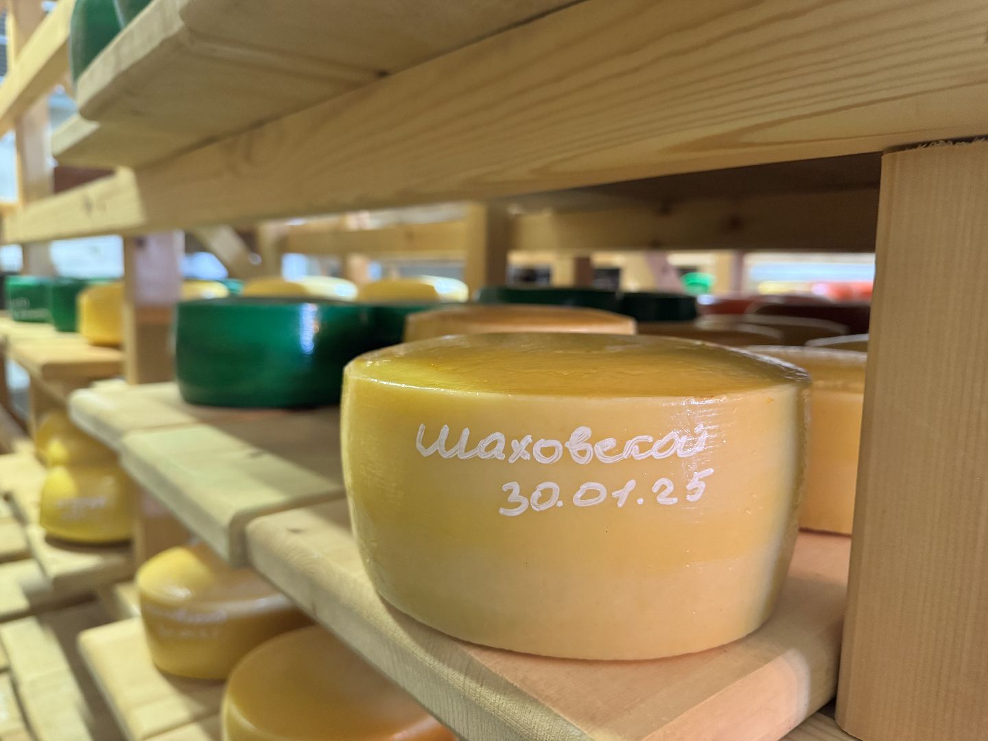 шаховская, модернизация производства, сыроварня, ройгас,