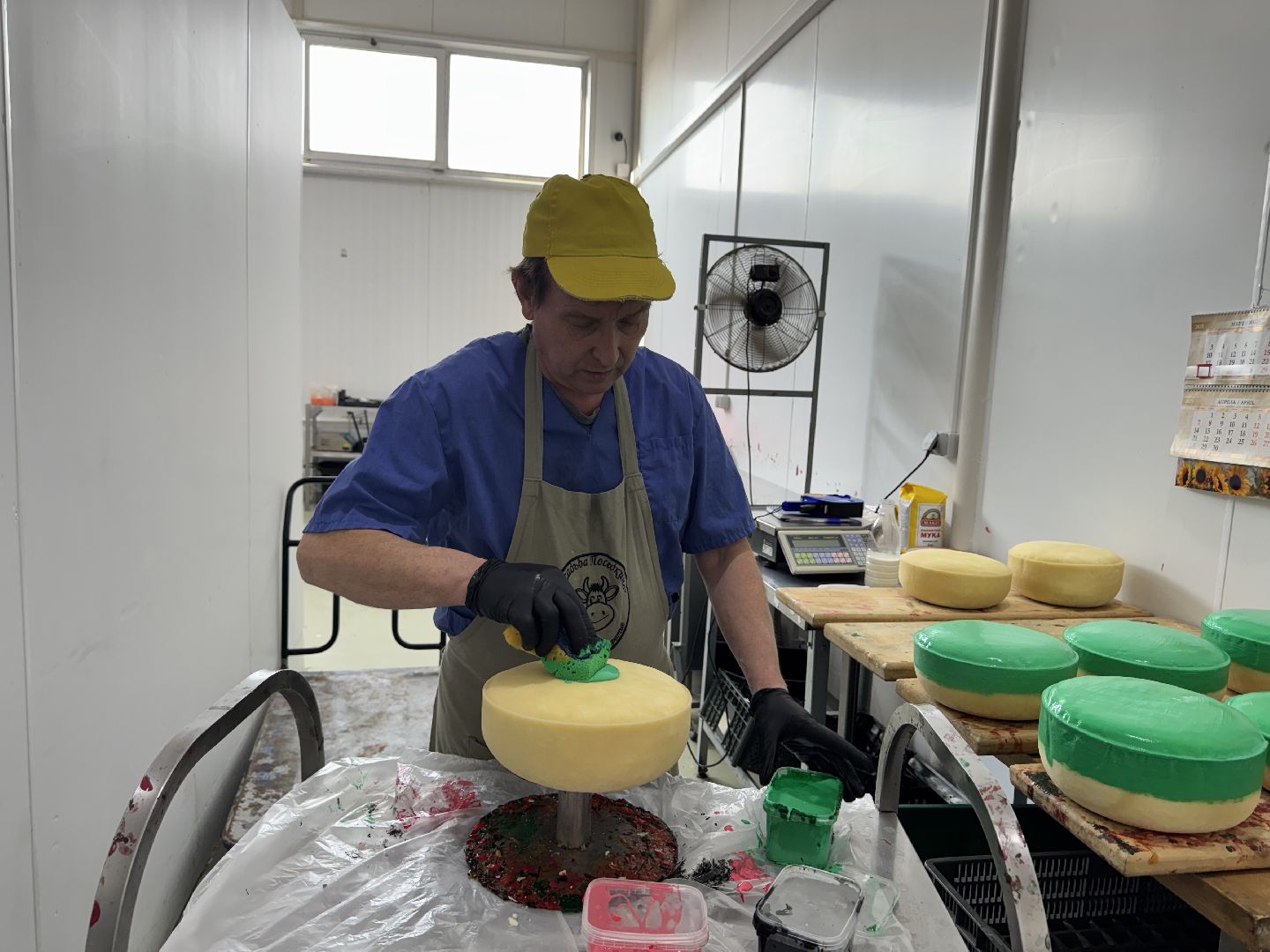 шаховская, модернизация производства, сыроварня, ройгас,