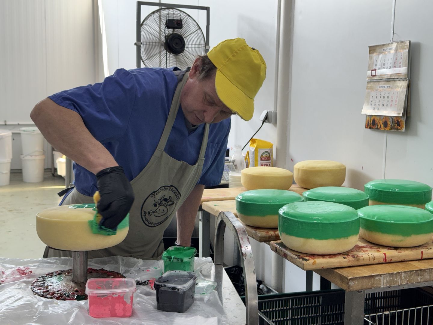 шаховская, модернизация производства, сыроварня, ройгас,