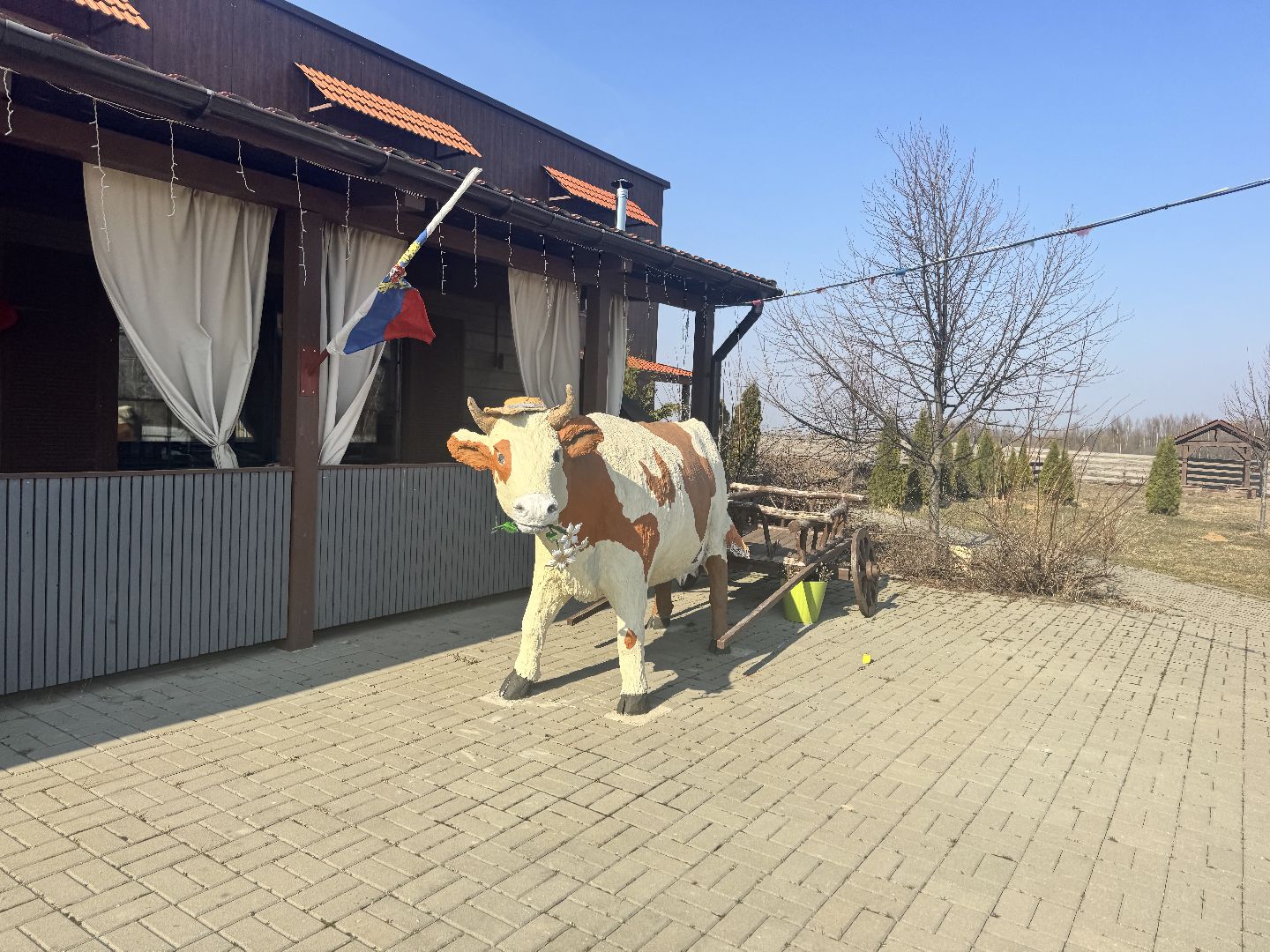 шаховская, модернизация производства, сыроварня, ройгас,