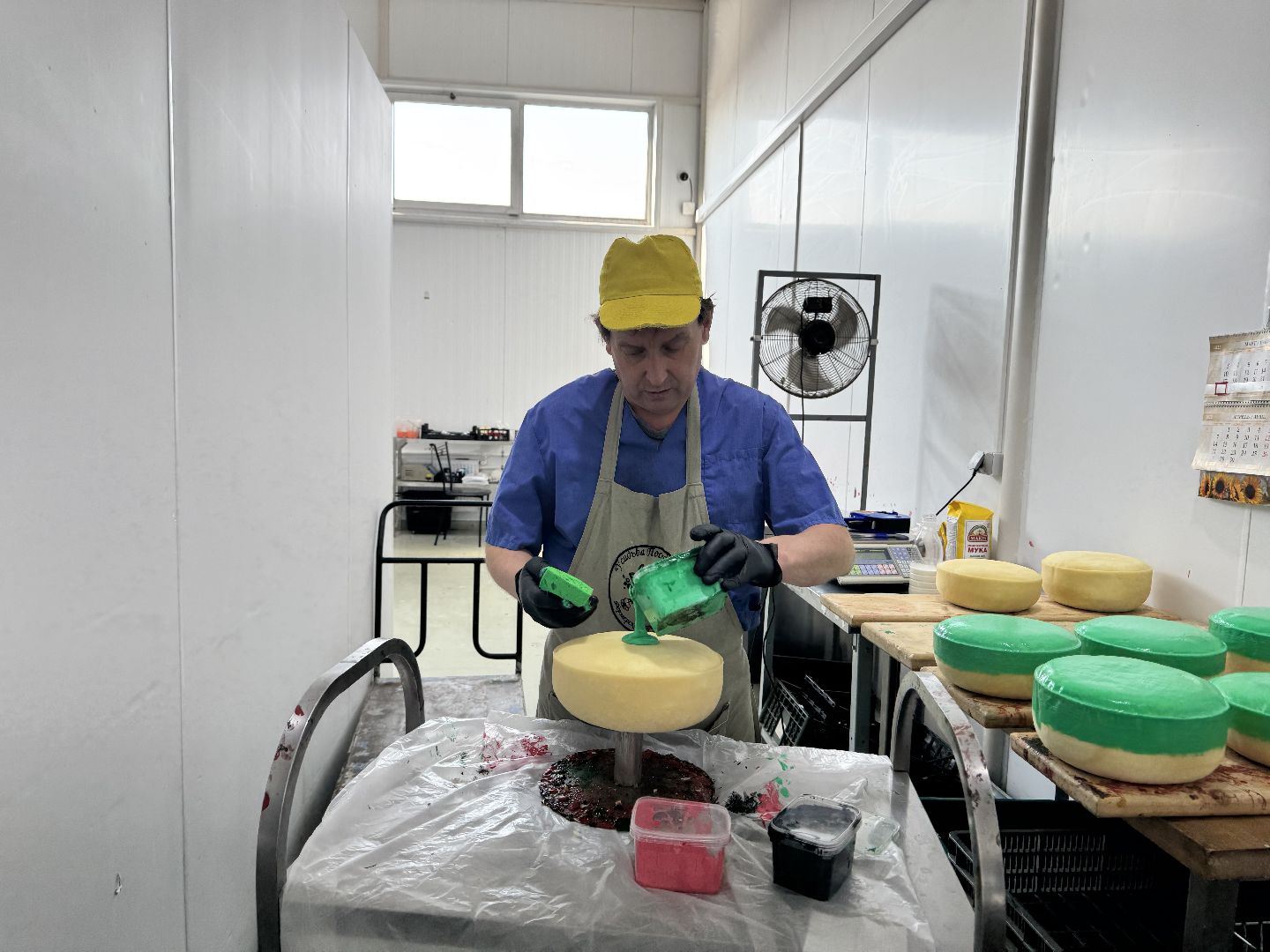 шаховская, модернизация производства, сыроварня, ройгас,