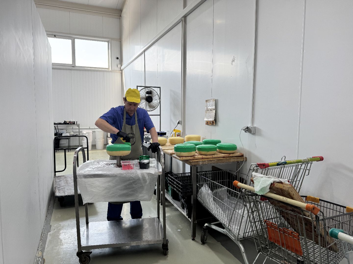 шаховская, модернизация производства, сыроварня, ройгас,