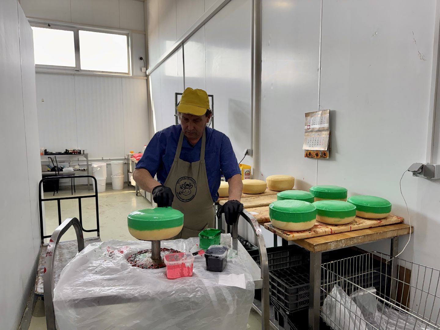 шаховская, модернизация производства, сыроварня, ройгас,