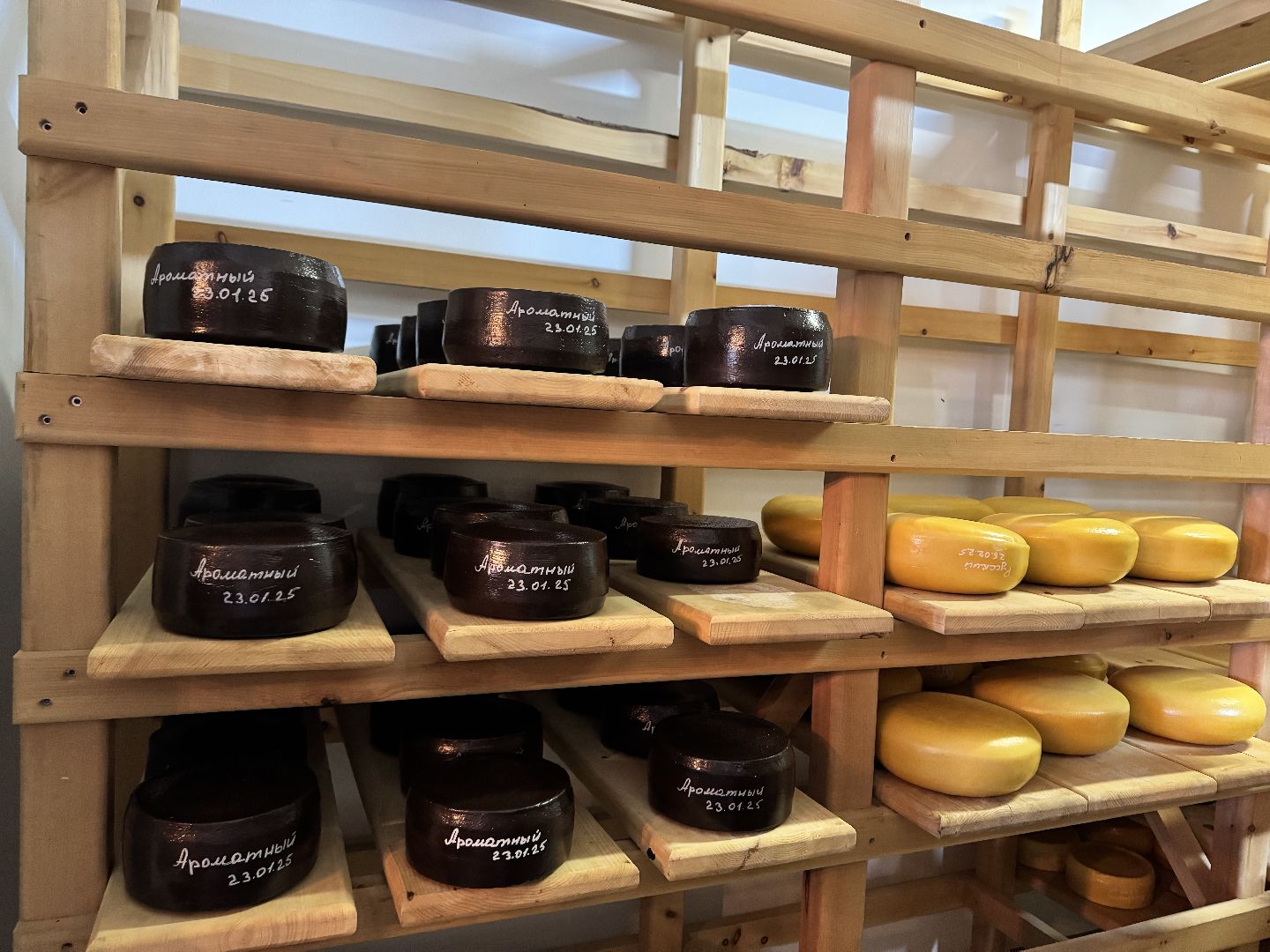 шаховская, модернизация производства, сыроварня, ройгас,