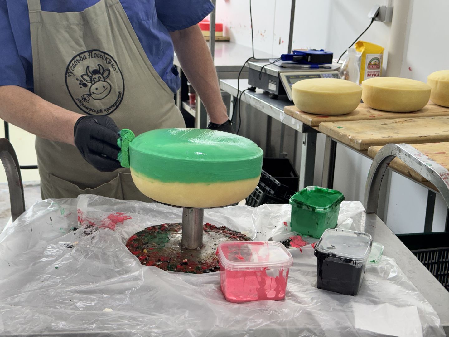 шаховская, модернизация производства, сыроварня, ройгас,