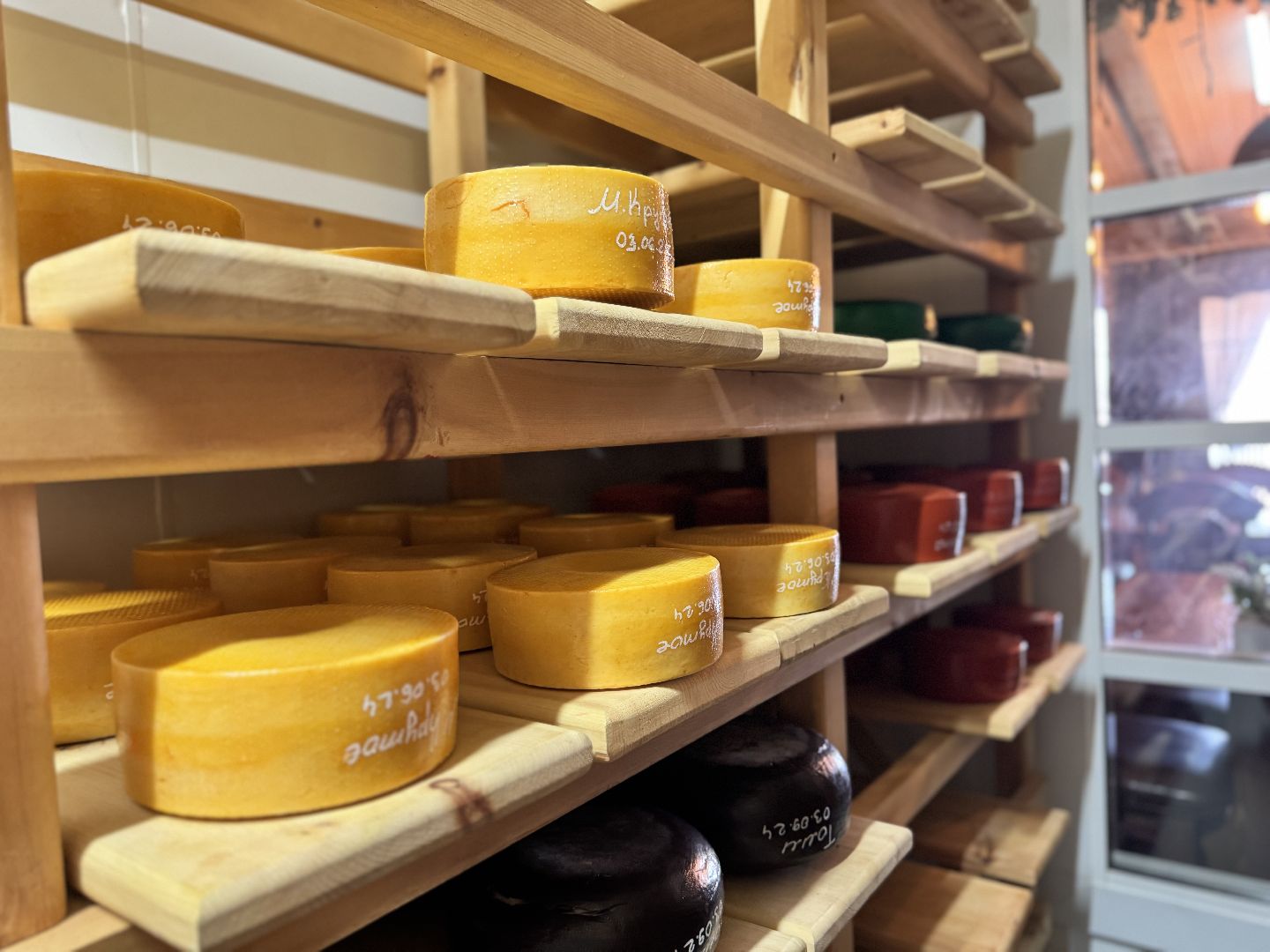 шаховская, модернизация производства, сыроварня, ройгас,