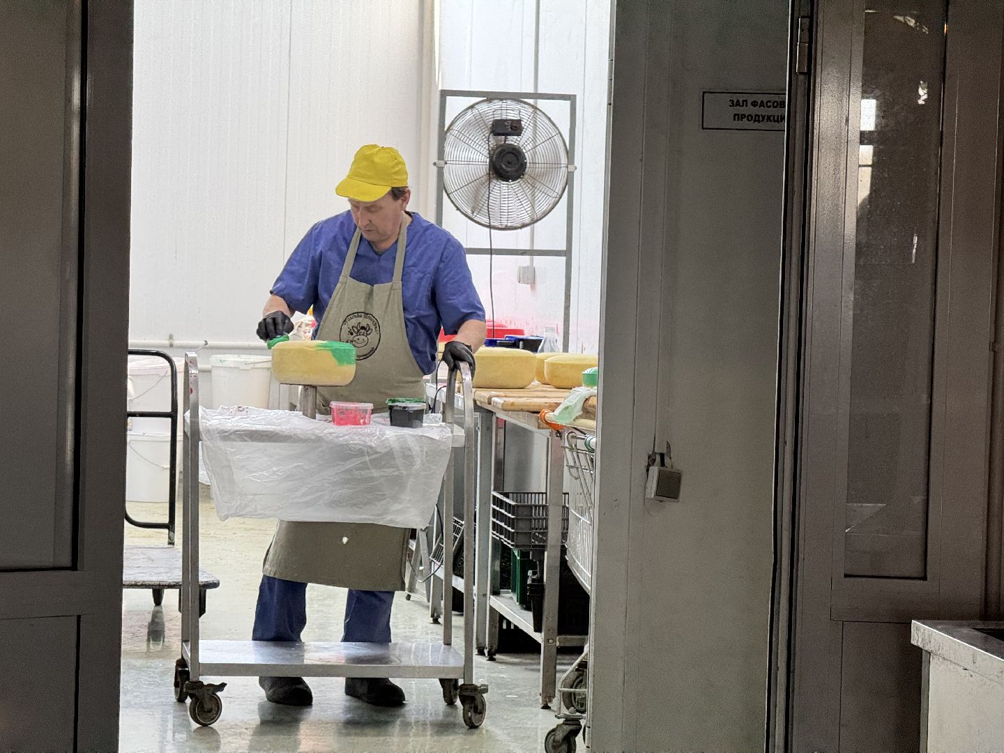 шаховская, модернизация производства, сыроварня, ройгас,