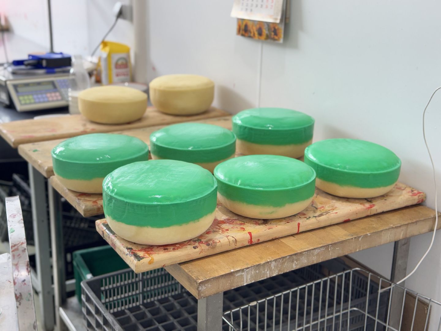 шаховская, модернизация производства, сыроварня, ройгас,