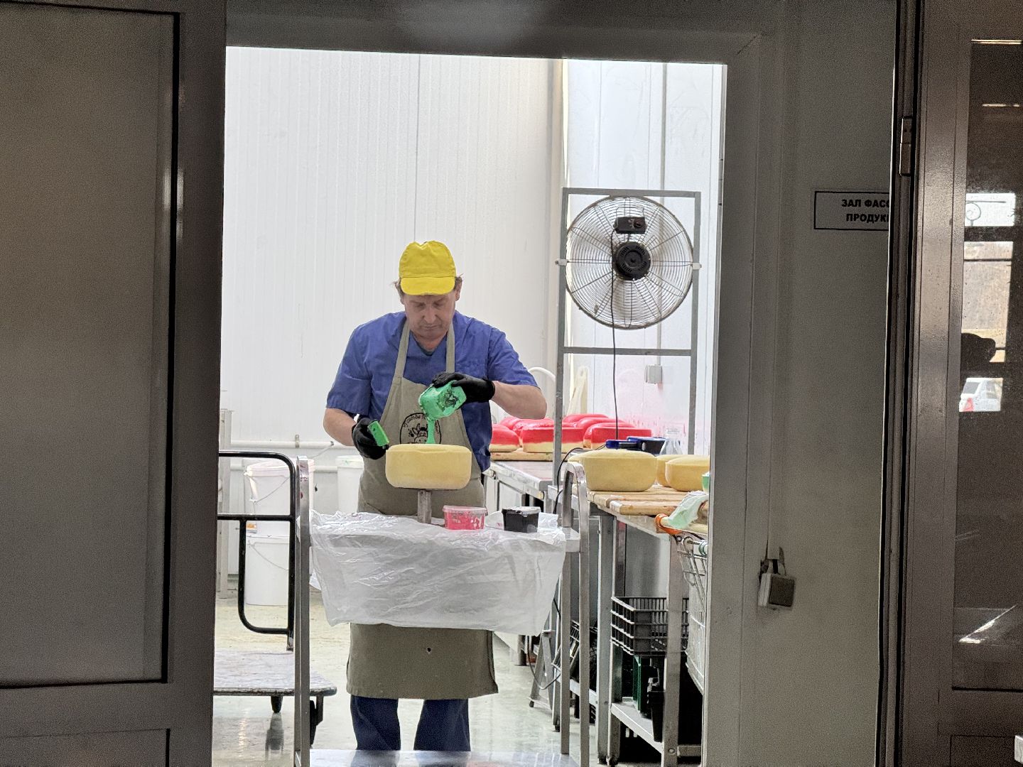 шаховская, модернизация производства, сыроварня, ройгас,