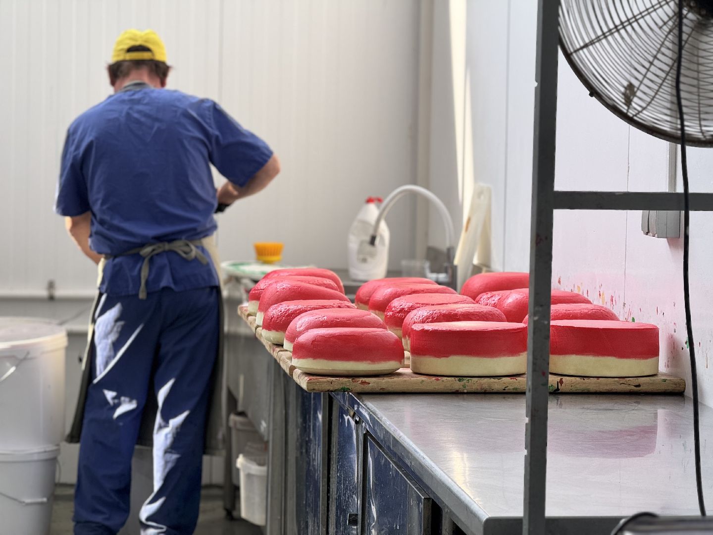 шаховская, модернизация производства, сыроварня, ройгас,