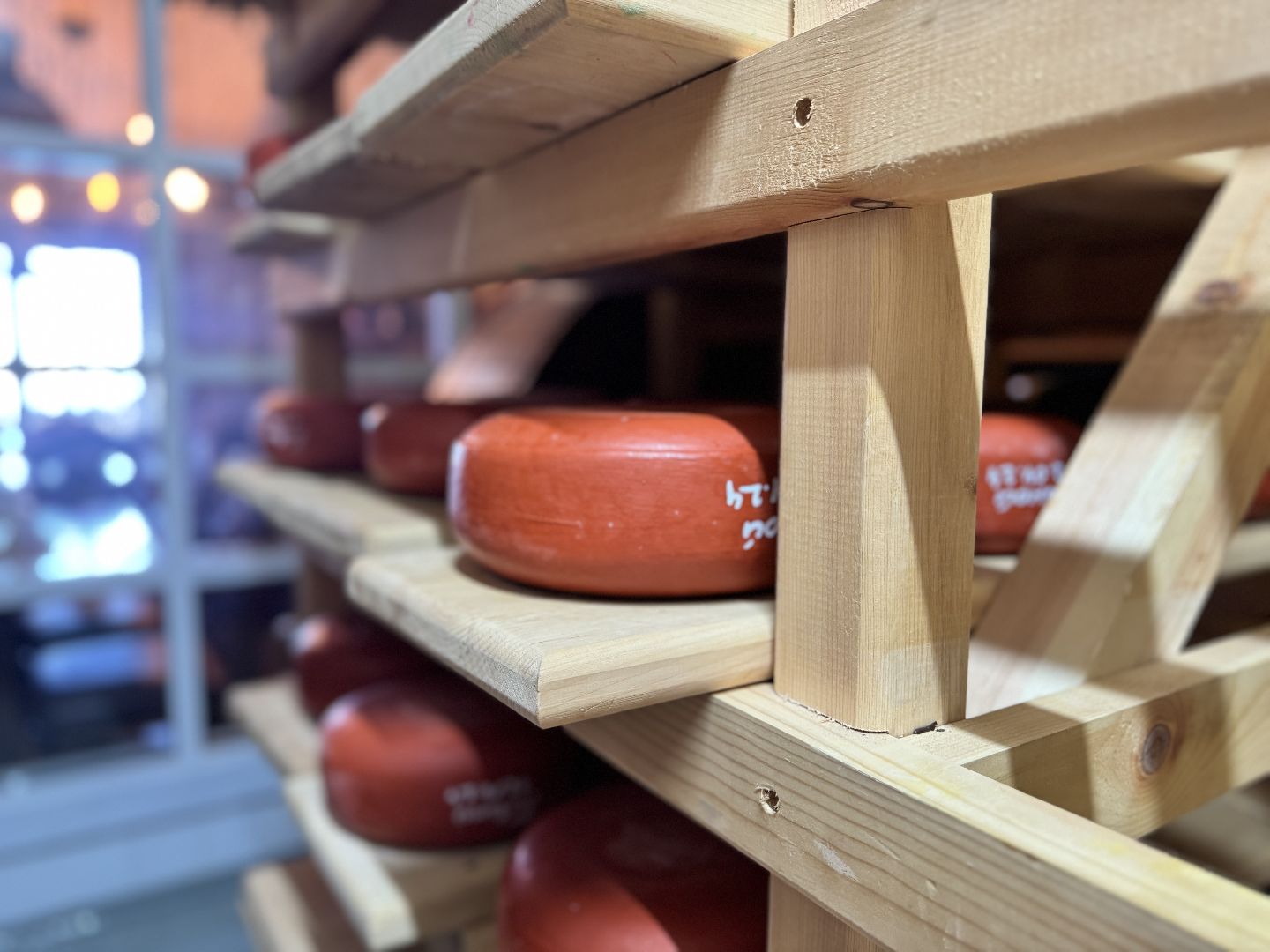 шаховская, модернизация производства, сыроварня, ройгас,