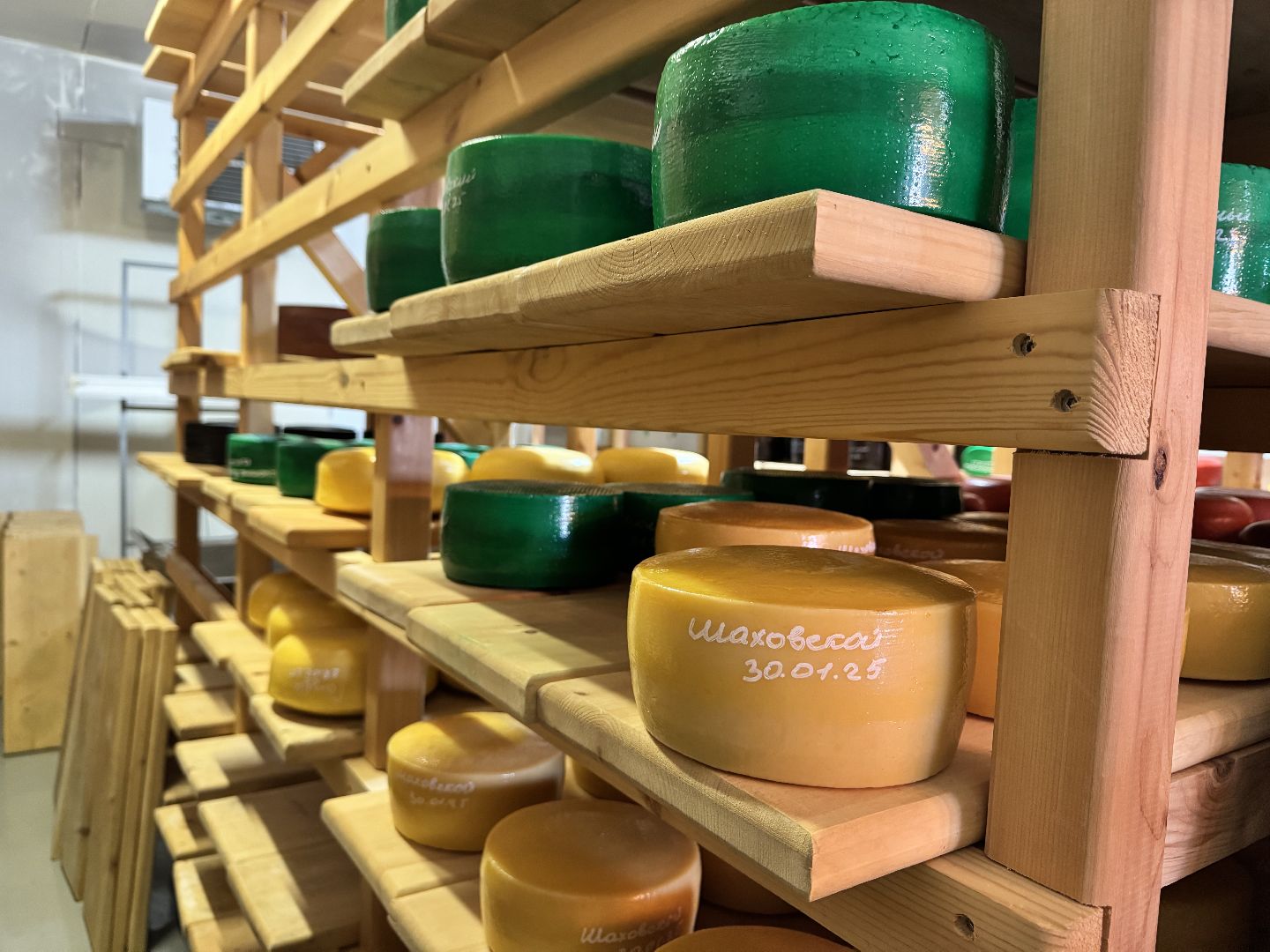 шаховская, модернизация производства, сыроварня, ройгас,