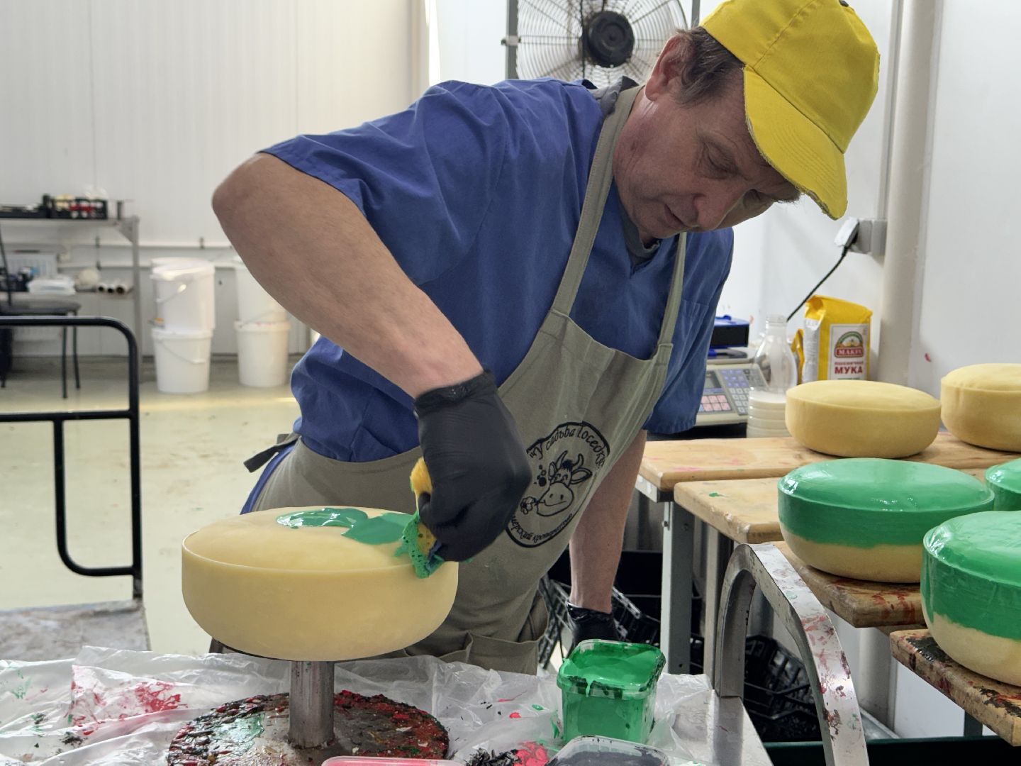 шаховская, модернизация производства, сыроварня, ройгас,