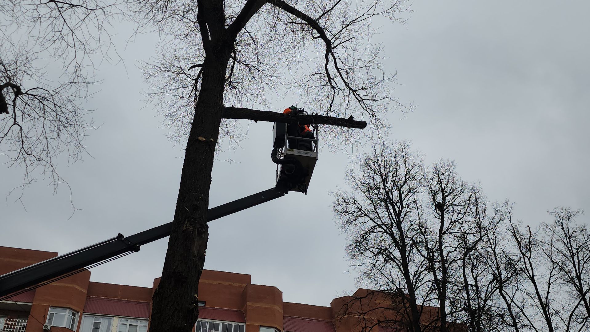серпухов, подмосковье, благоустройство,
