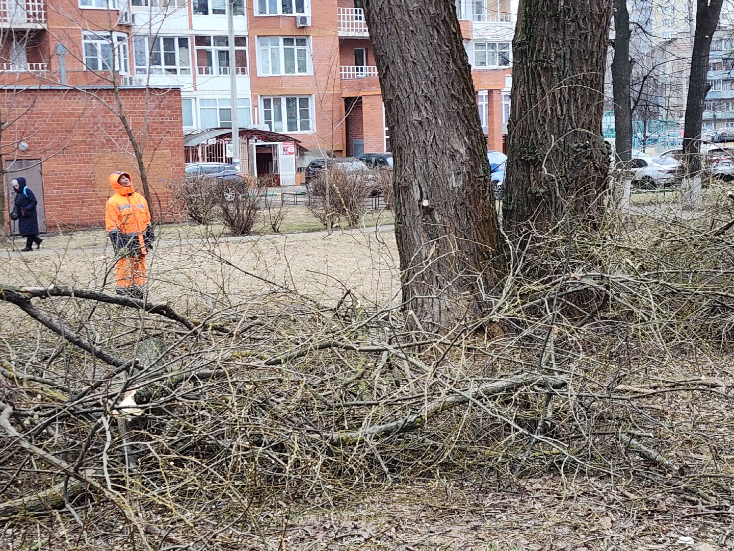 серпухов, подмосковье, благоустройство,