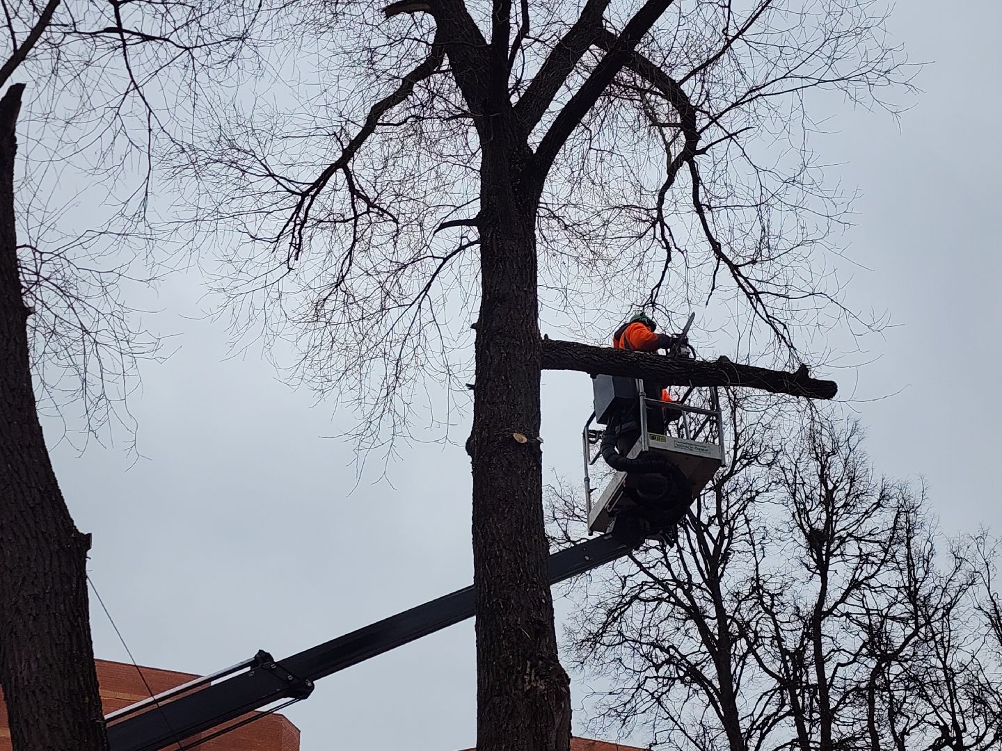 серпухов, подмосковье, благоустройство,
