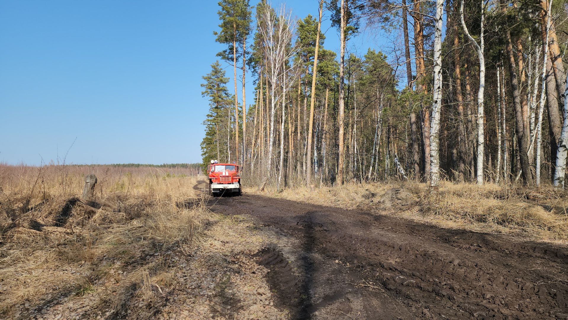 Луховицы,