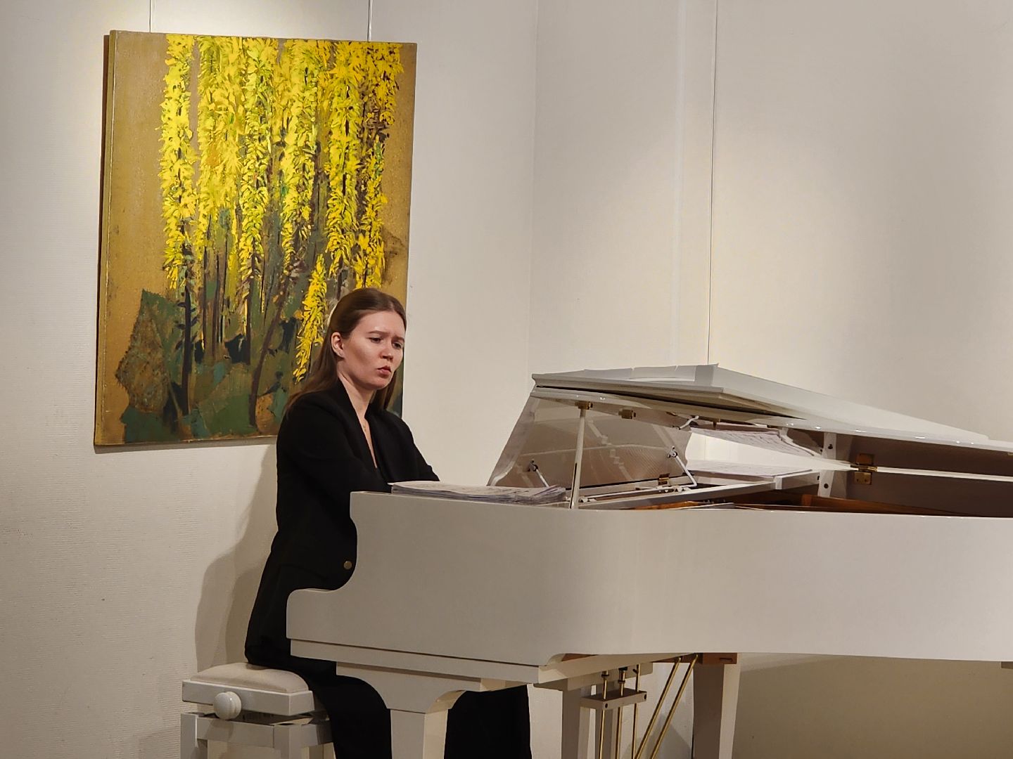 концерт классической музыки, мытищи, мытищинская галерея искусств,