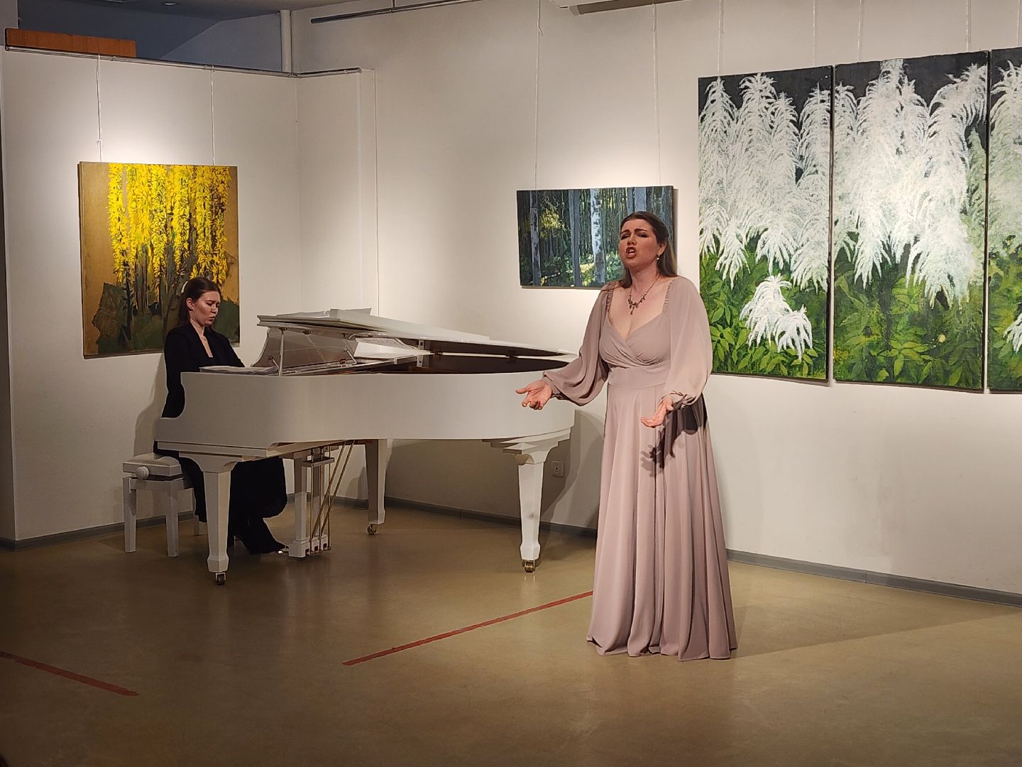 концерт классической музыки, мытищи, мытищинская галерея искусств,