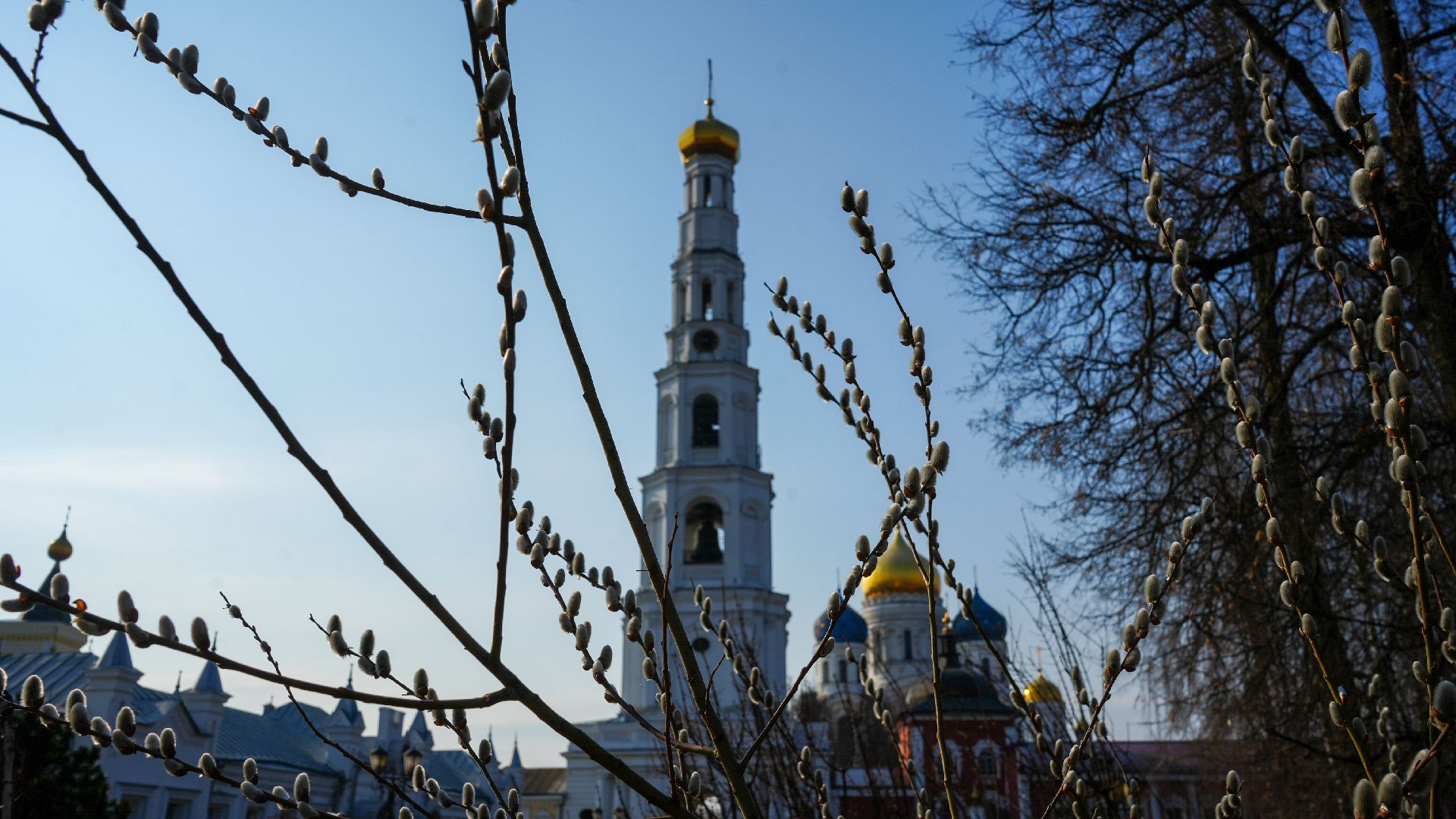 дзержинский, люберцы, Николо-Угрешский монастырь, верба,