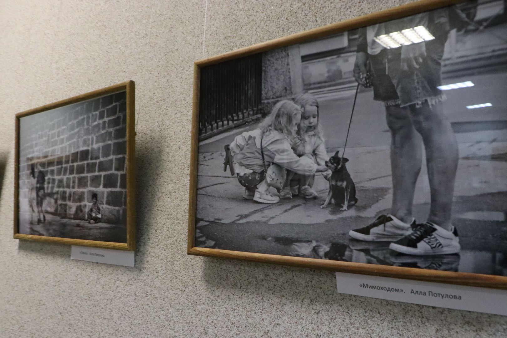 серебряные пруды, культура, центральная библиотека серебряных прудов, фотовыставка, уличная мозаика,