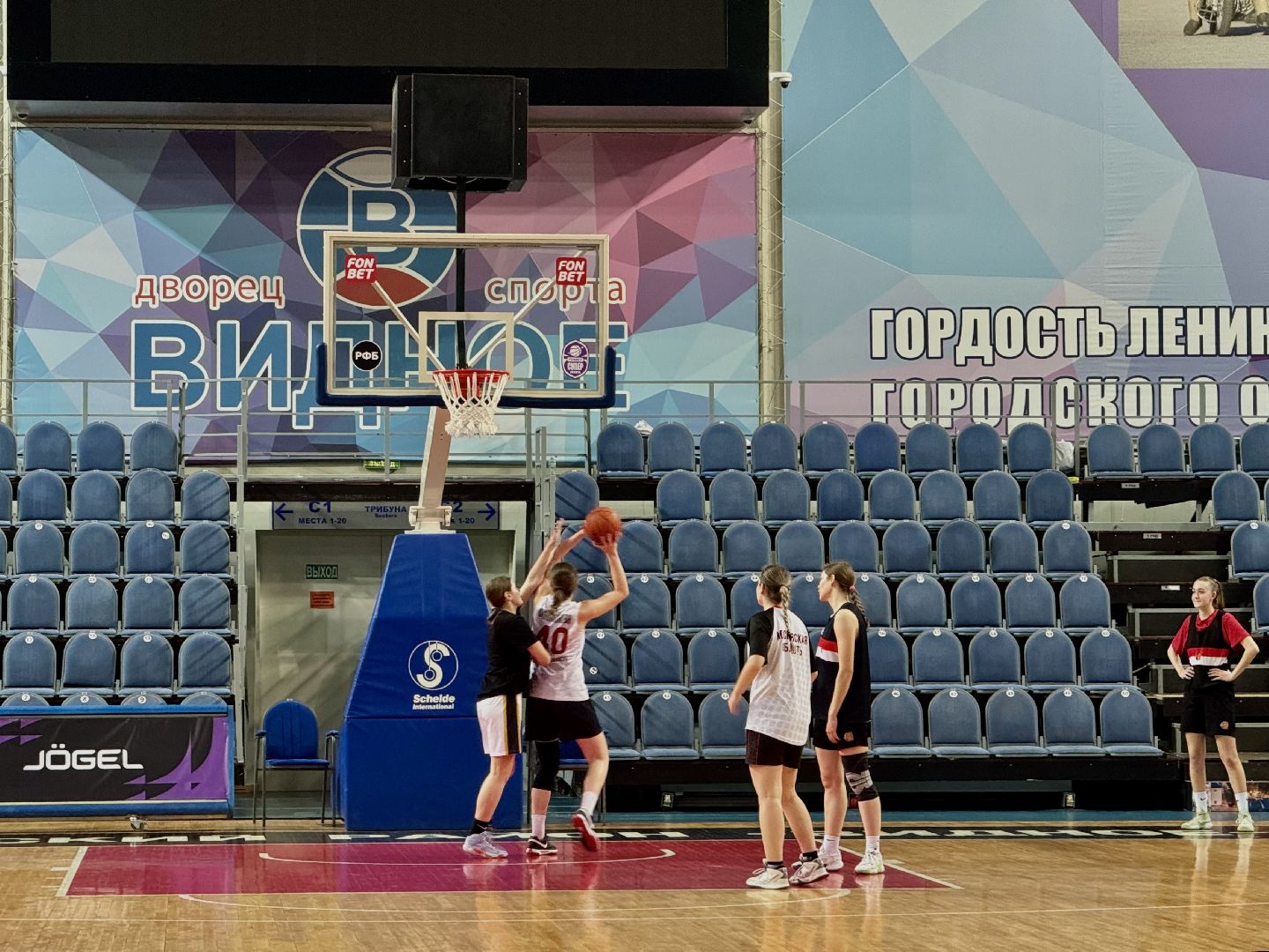Баскетбольный клуб, Спарта энд К, ленинский городской округ,дворец спорта видное,