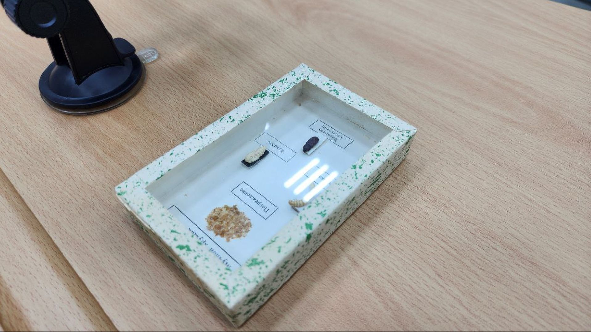 Луховицы, аграрный техникум,