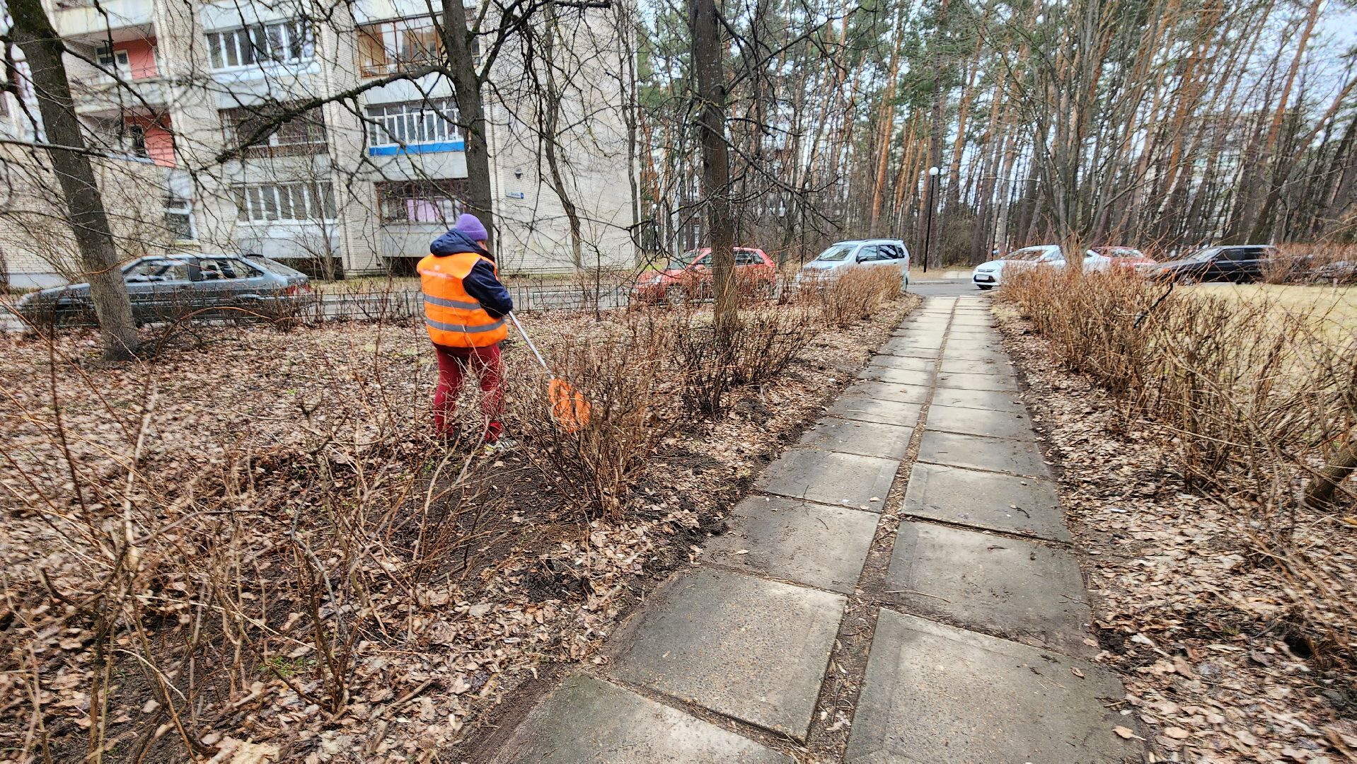 протвино, месяц благоустройства, уборка дворов,