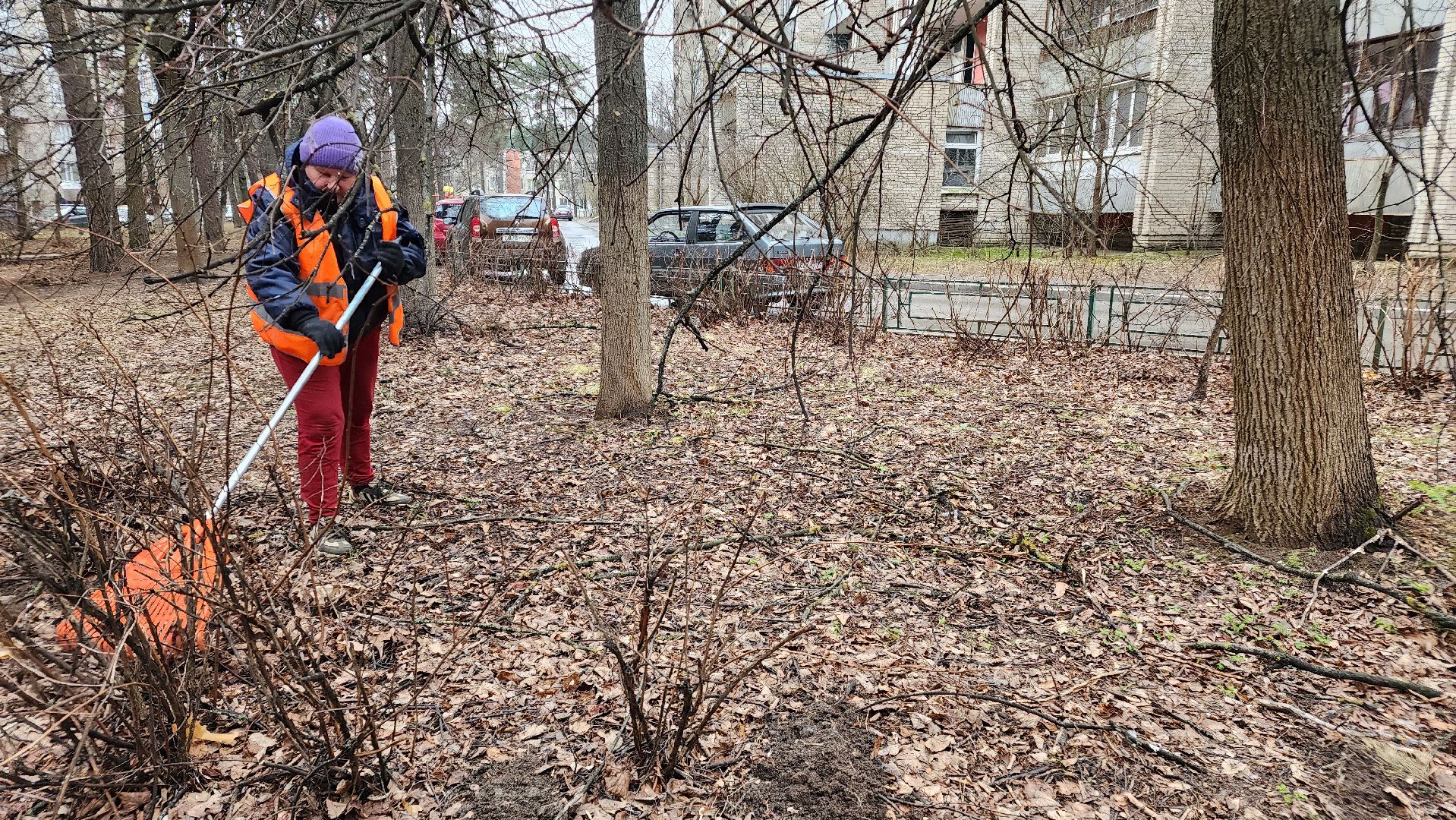 протвино, месяц благоустройства, уборка дворов,