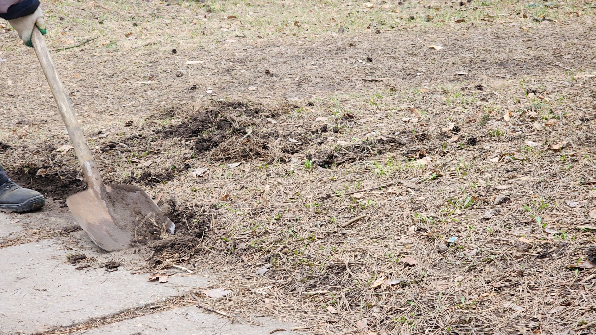 протвино, месяц благоустройства, уборка дворов,