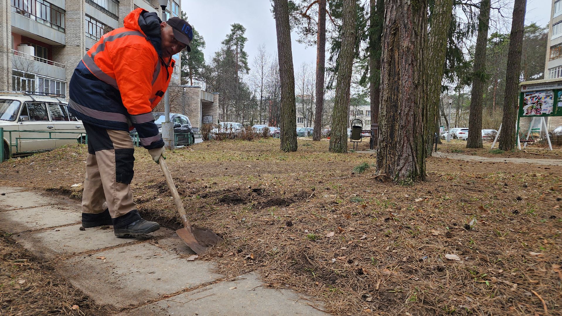 протвино, месяц благоустройства, уборка дворов,
