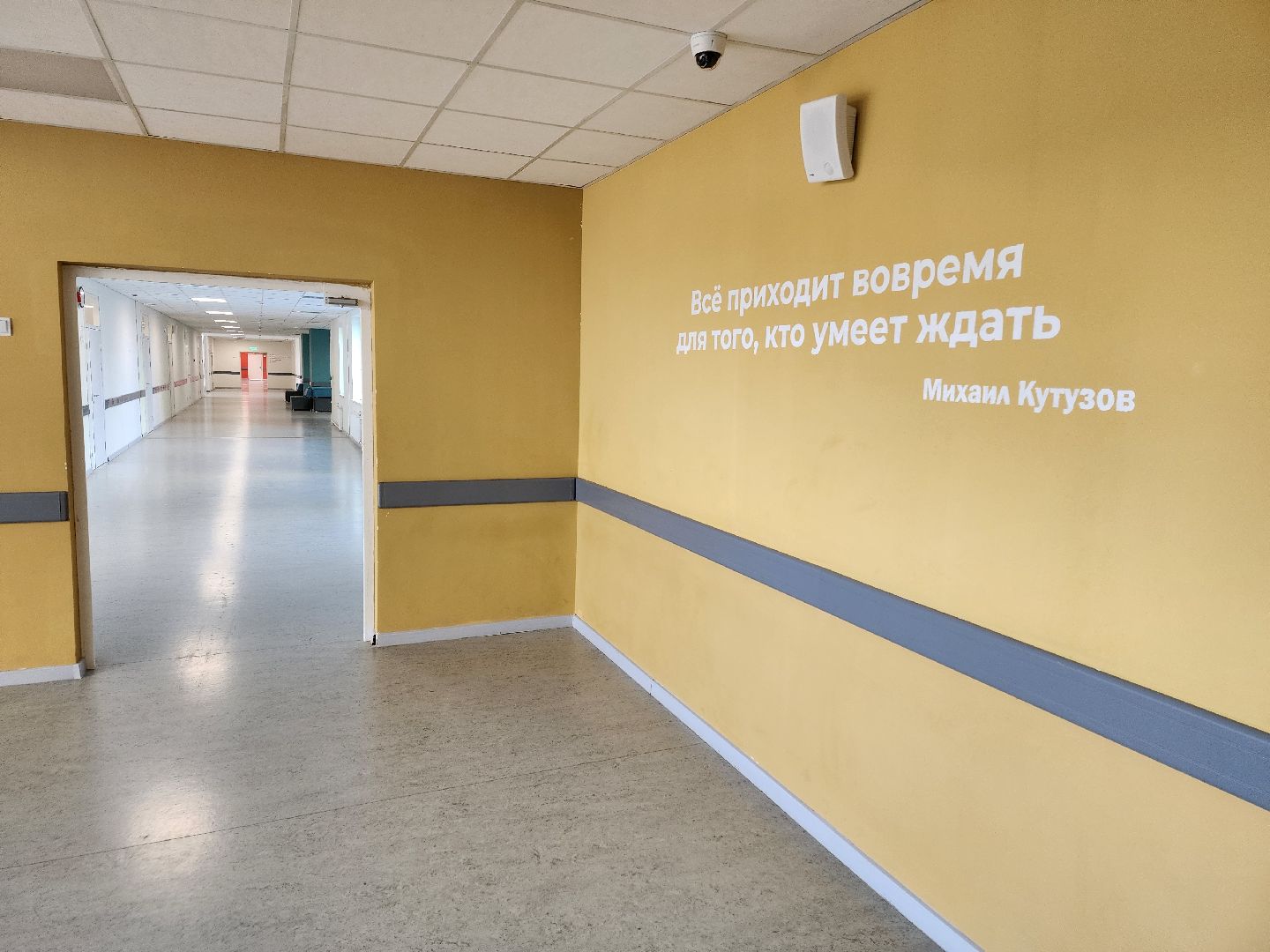 чехов, гимназия 7, молодые учителя, педагогический дебют,