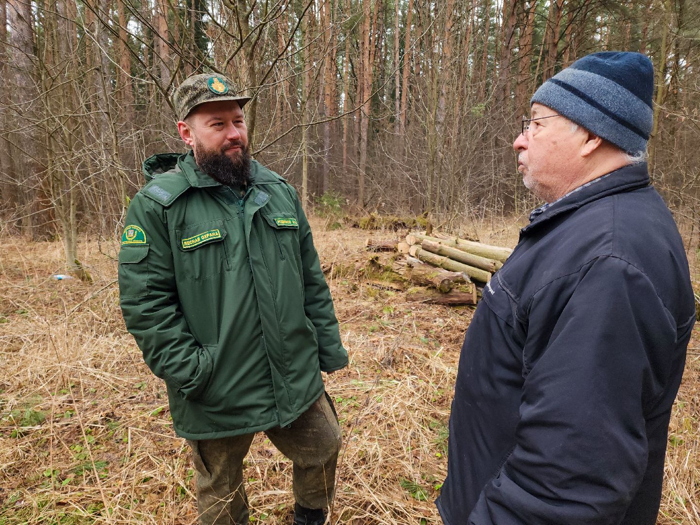 Подольск, валежник, мособллес, лесничество,