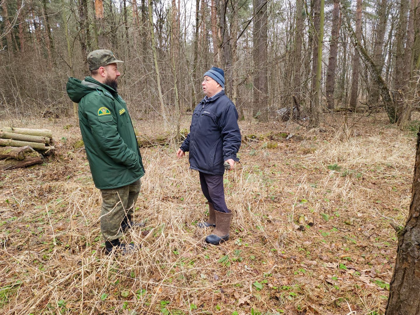 Подольск, валежник, мособллес, лесничество,