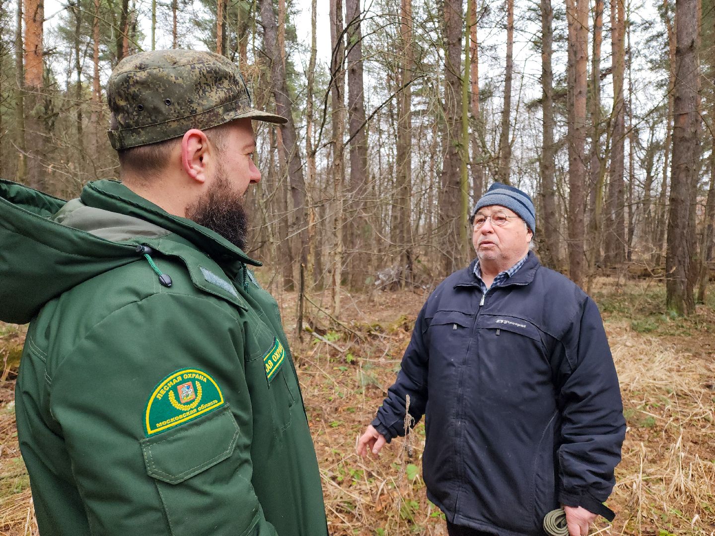 Подольск, валежник, мособллес, лесничество,