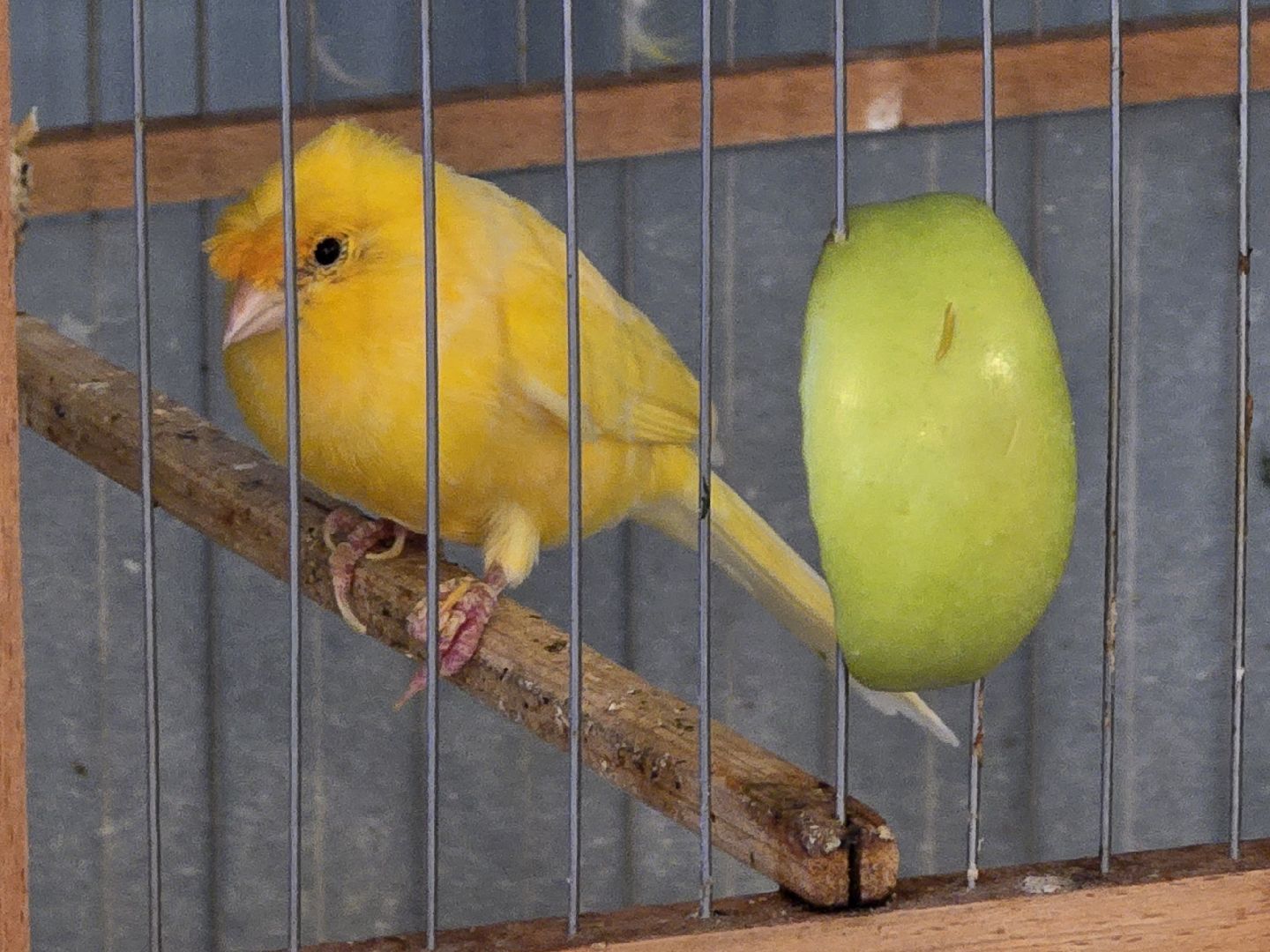 Коломна, коломенская пастила, туризм,