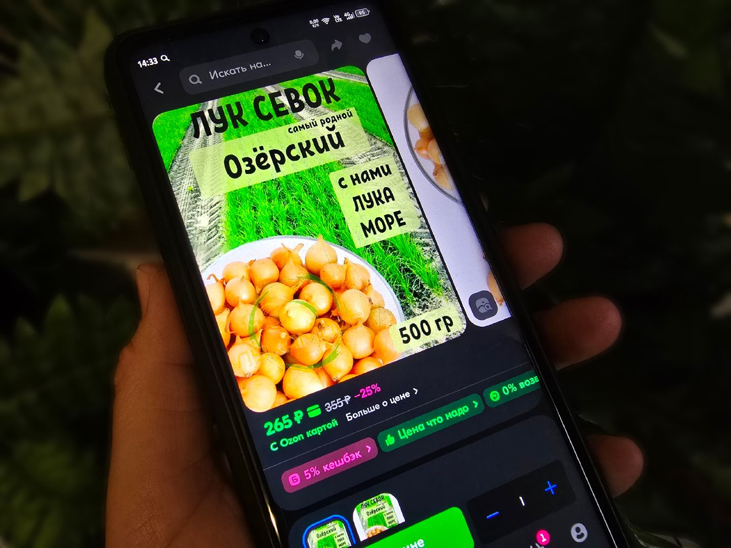 Коломна, Озеры, лук-севок, сельскохозяйственное предприятие,