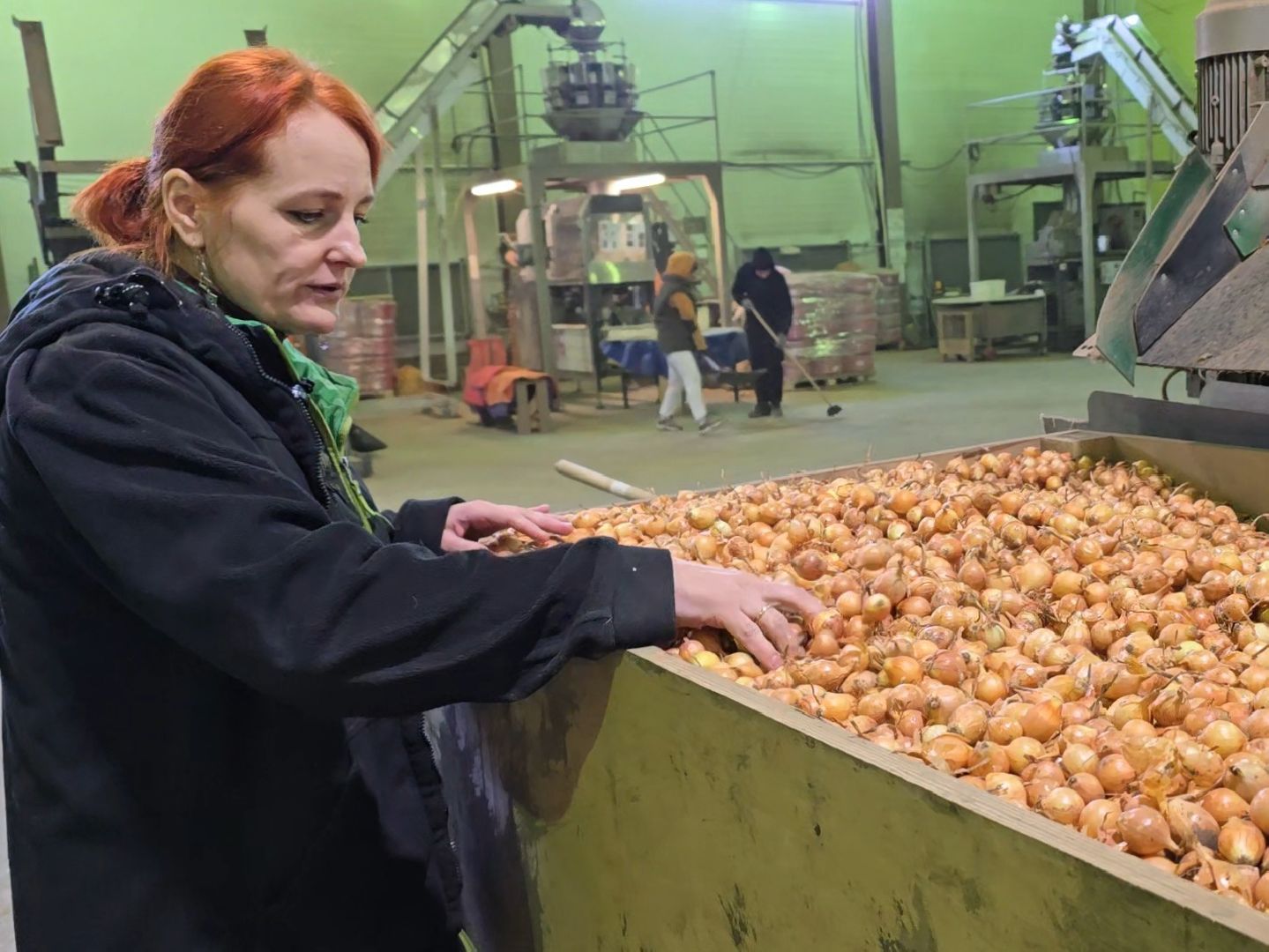 Коломна, Озеры, лук-севок, сельскохозяйственное предприятие,