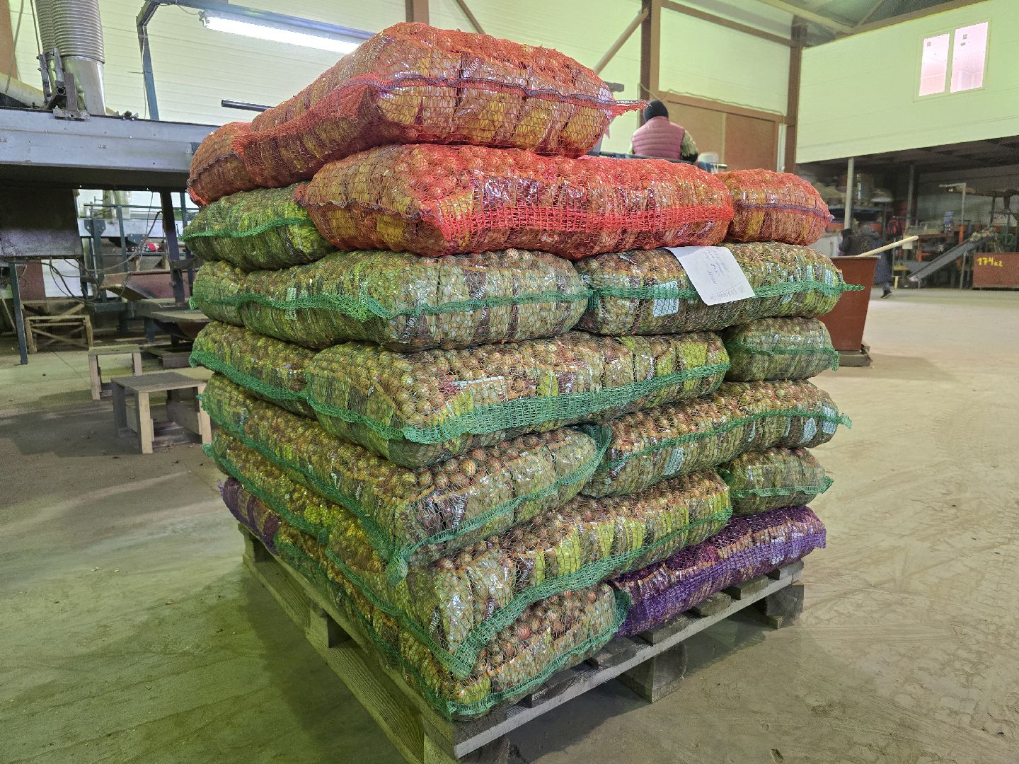 Коломна, Озеры, лук-севок, сельскохозяйственное предприятие,