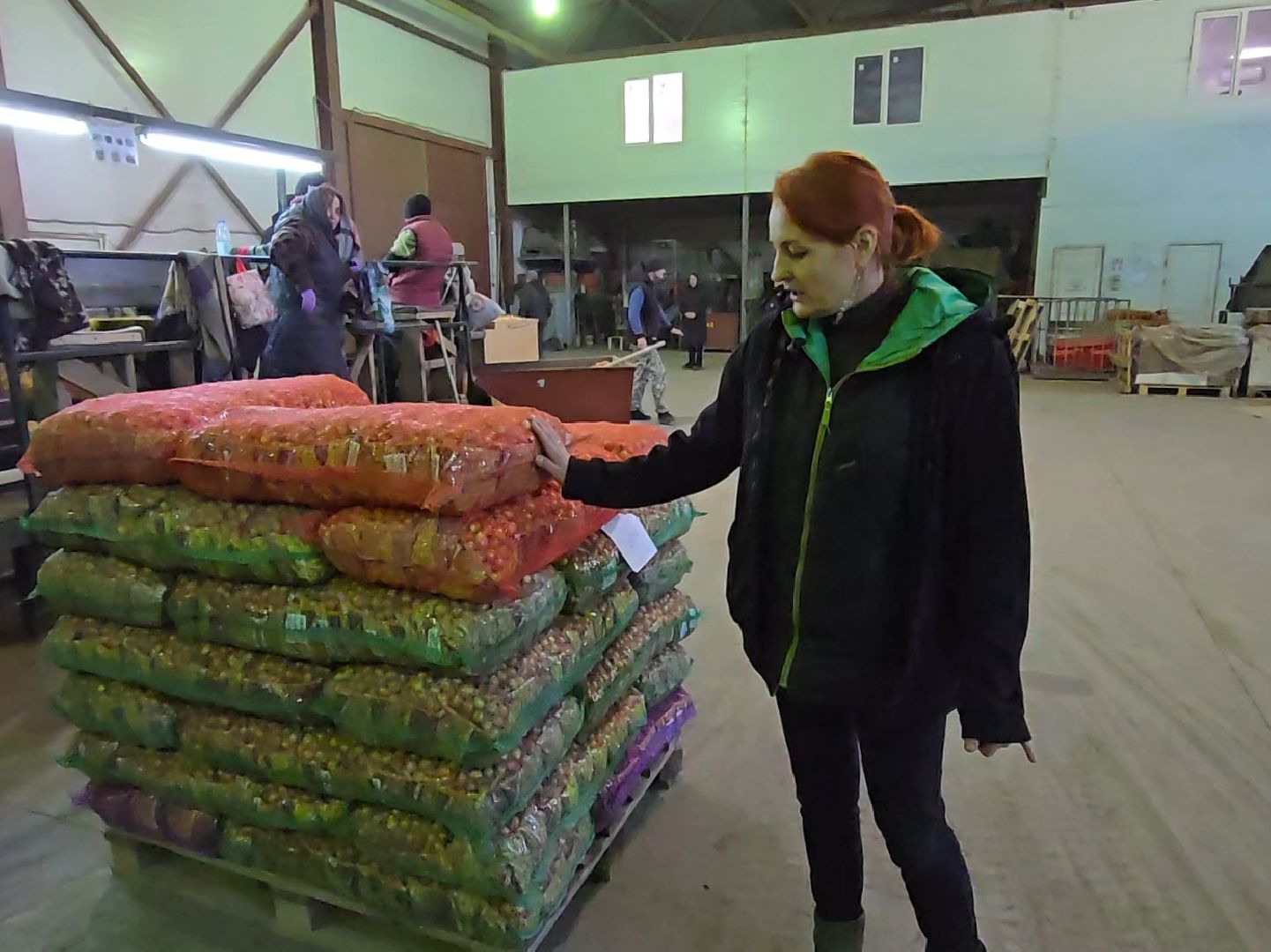 Коломна, Озеры, лук-севок, сельскохозяйственное предприятие,