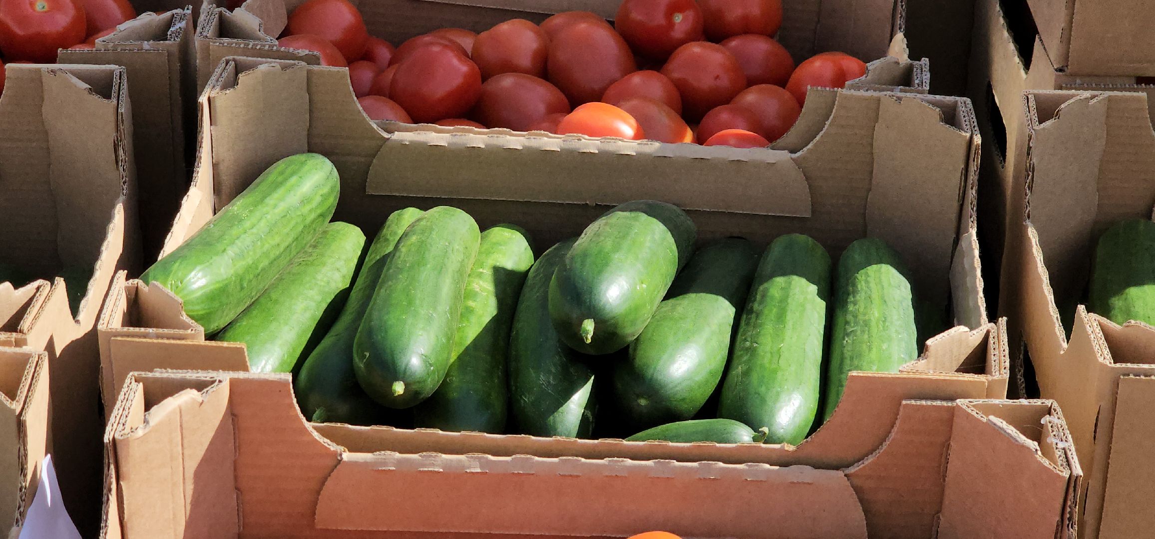 луховицы, гуманирная помощь,