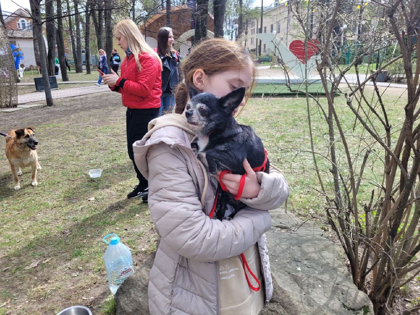 животные; видное; выставка; найди друга; центральный парк