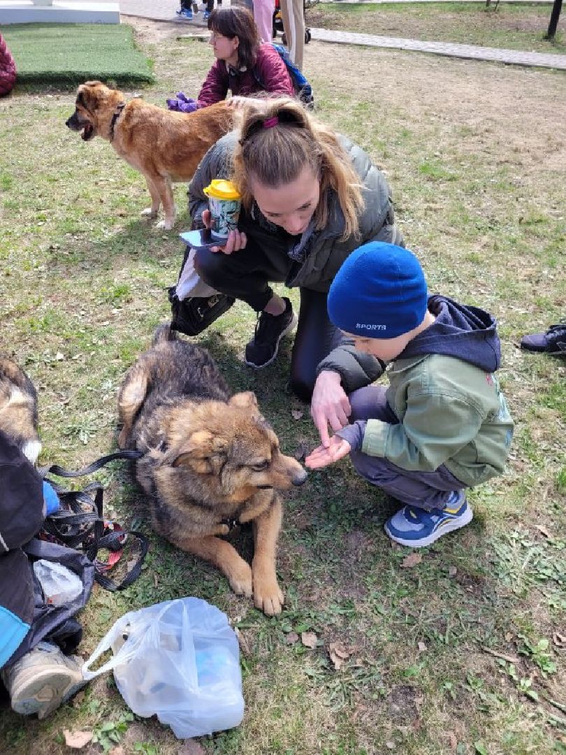 животные; видное; выставка; найди друга; центральный парк